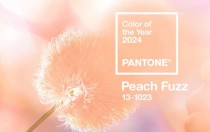 Цвет Pantone 2024